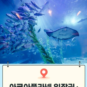광교 일산 아쿠아플라넷 일산 광교 모바일입장권 [빠른답장 문자전송]