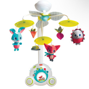 타이니모빌 대행 2주