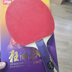 허리케인쑨. 세계1위 쑨잉샤. 야사카 마린 탁구라켓