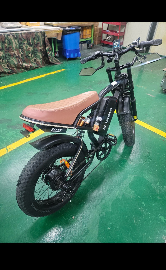 bs슬릭 EZ Taurus 전기 자전거--2