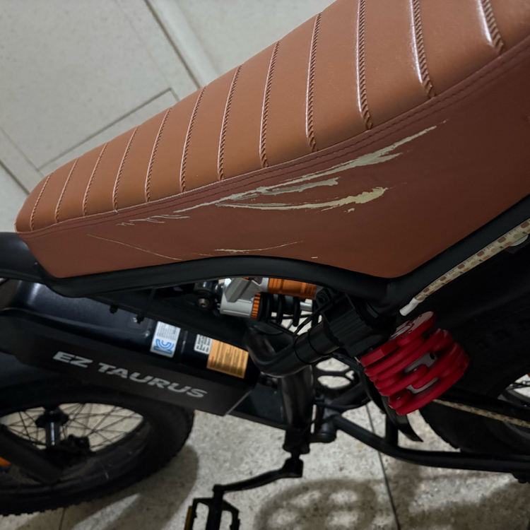 bs슬릭 EZ Taurus 전기 자전거--5