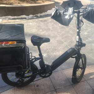 전기자전거 배달용