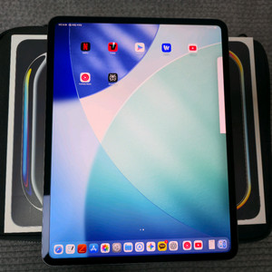 아이패드 프로 M5 13 1TB wifi 나노텍스쳐