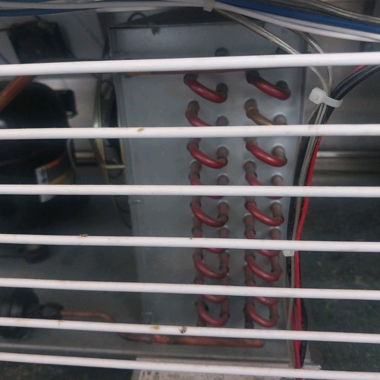 쇼케이스 1560 새거수준 청소완료--9