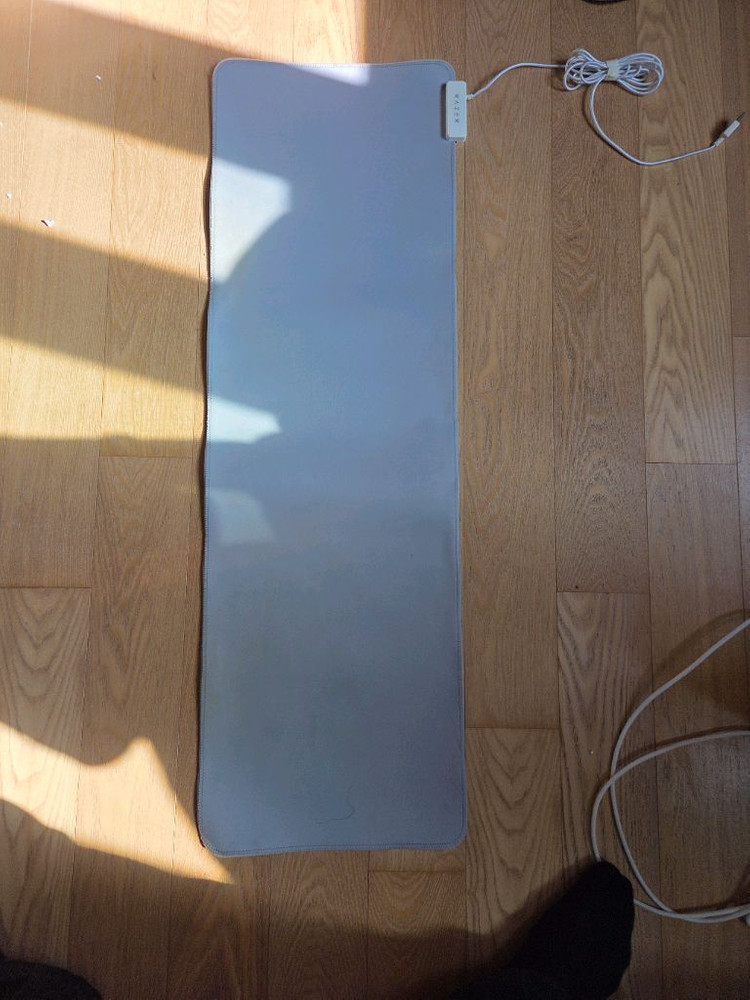 레이저 골리아투스(goliathus) 장패드--1