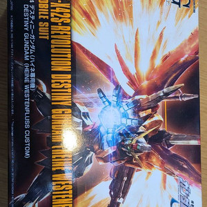 hg 데스티니 건담 하이네 전용기 미개봉