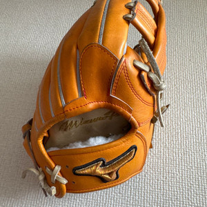 미즈노 프로내야글러브