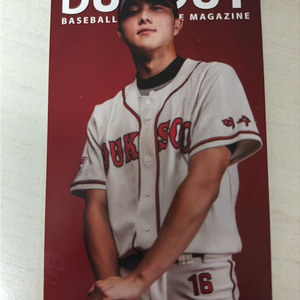 기아타이거즈 박종혁 포카