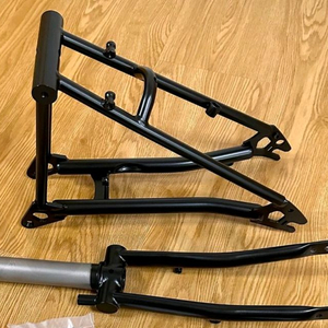 브롬톤pt라인용 티탄포크리어