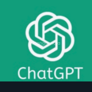 chatgpt pro 6인