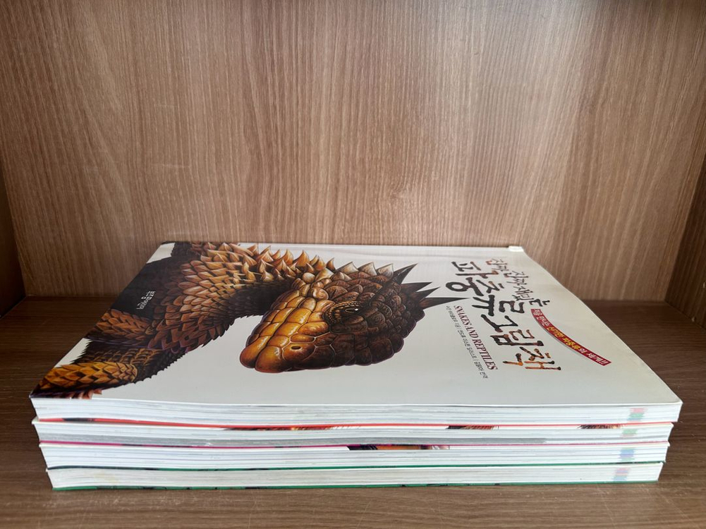 진짜진짜 재밌는 그림책 시리즈--1