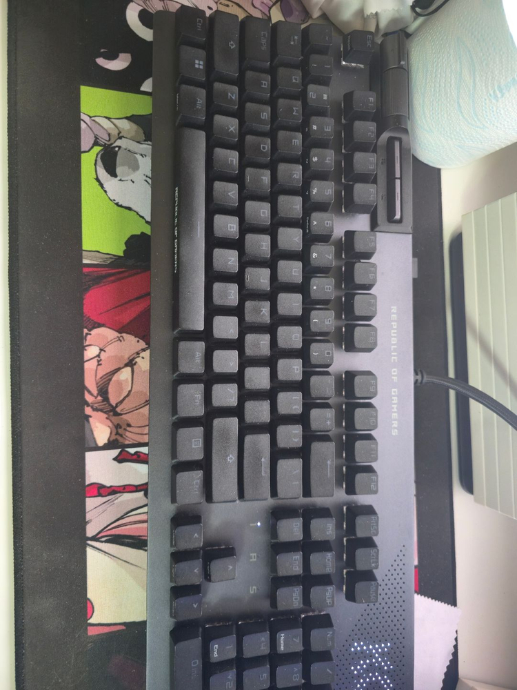 ASUS ROG STRIX FLARE II NX ANIMATE / 적축 키보드 이미지