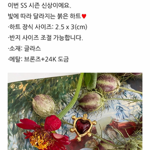 콜미텔라 callmetella 반지