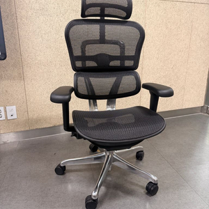 [수요일까지 판매] 에르고휴먼 메쉬 의자 블랙 이미지