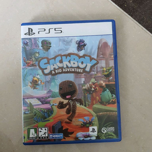 ps5 색보이 어드벤쳐