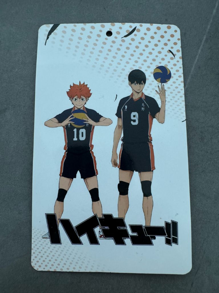 하이큐 카라스노 배구공 모양 쿠션 볼 인형 모찌 굿즈--4