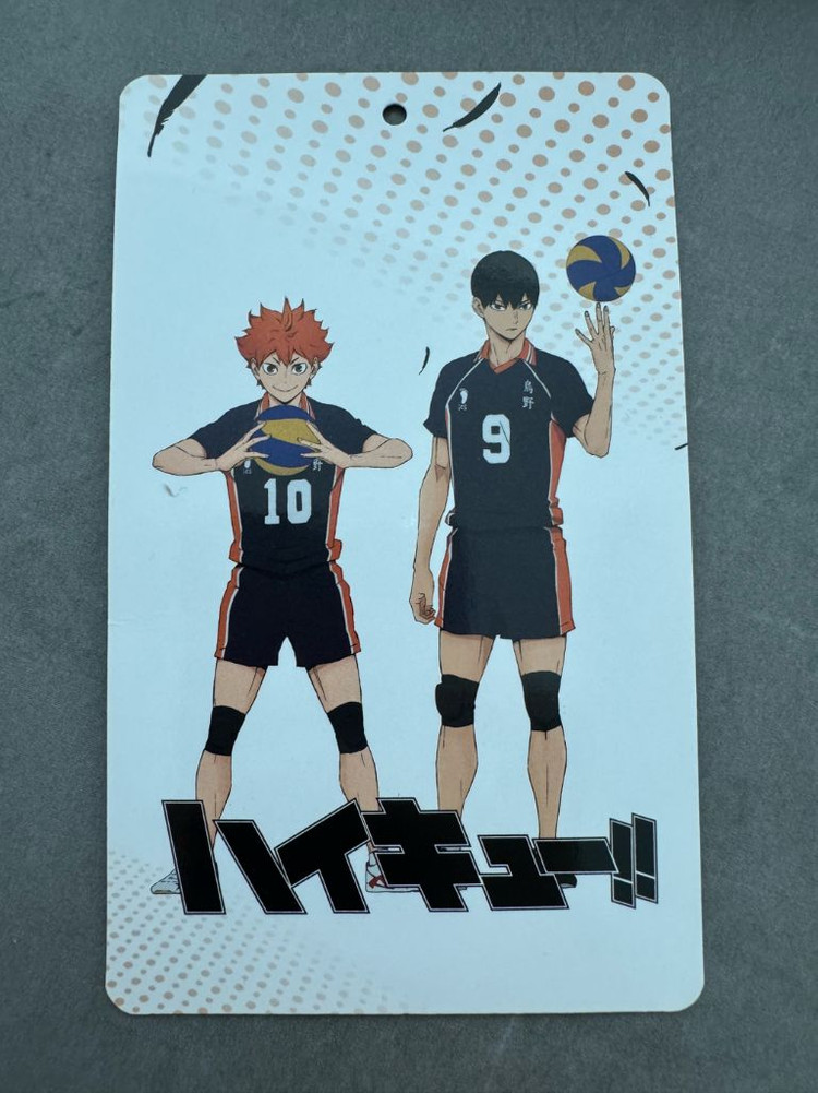 하이큐 네코마 배구공 모양 쿠션 볼 인형 모찌 굿즈--4