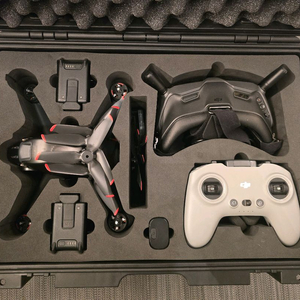 DJI FPV 콤보 세트