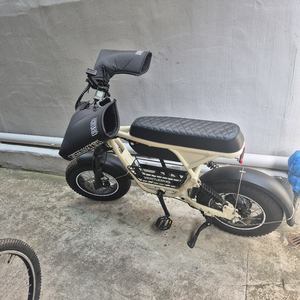 마지막 판매 벤틀러스 xt16 전기자전거 자토바이