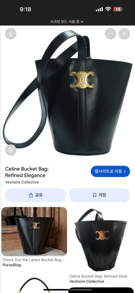 셀린느 버킷백 트라이엄프 이미지