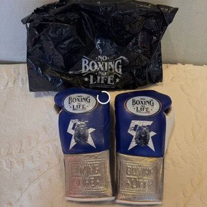 노복싱노라이프 복싱 10온스 글러브 블루/화이트 커스텀