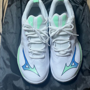 미즈노 웨이브 클로 네오 3 265