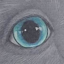 디렌리 작가 작품