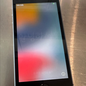 아이폰 se 1세대 64기가