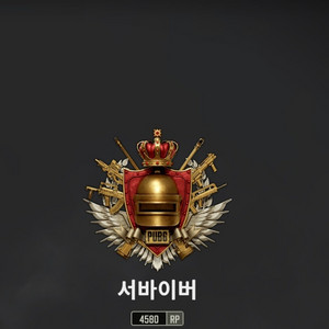 배그 최저가 대리문의 이미지