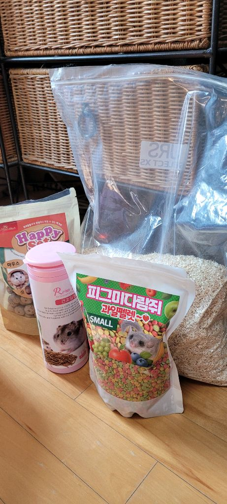 피그미 다람쥐 암수 한쌍, 사육장 포함 분양 합니다--4