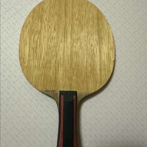 안재현 특주 탁구라켓