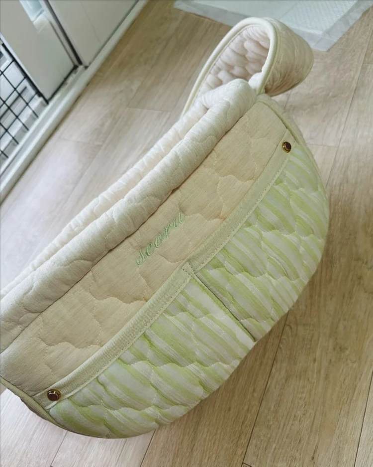 서루 슬링백 강아지 이동장 이동가방 이미지