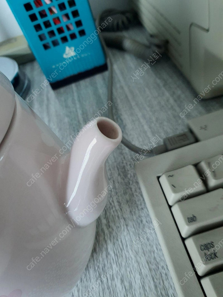 2018년 스타벅스 바렌타인 한정판 고양이티팟 이미지