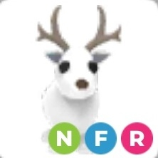 입양하세요 네온흰순록 판매 이미지