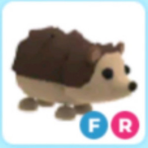 입양하세요 펫삽니다 이미지