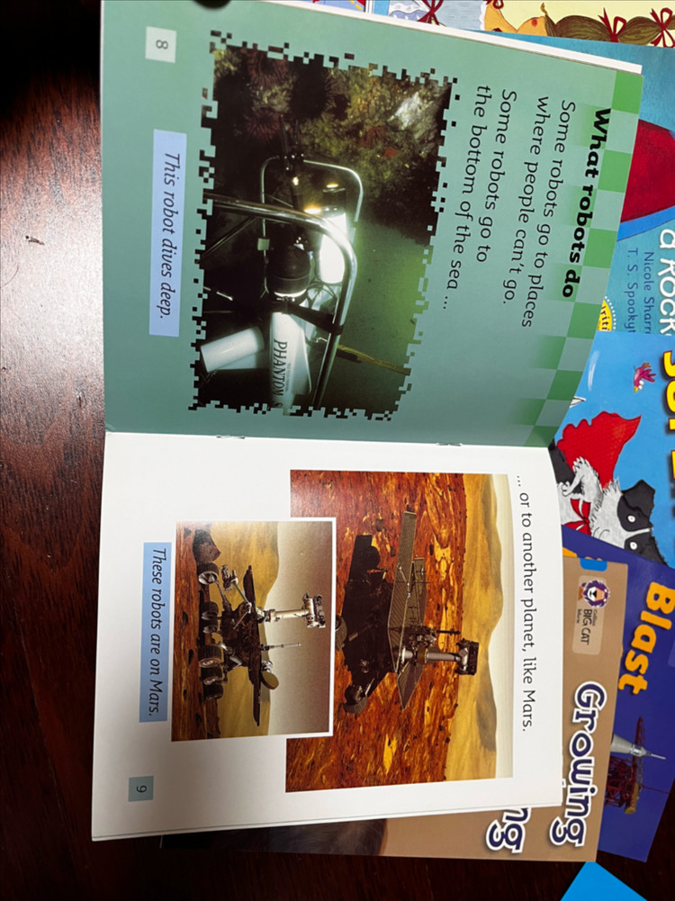 Big cat blue band4--1