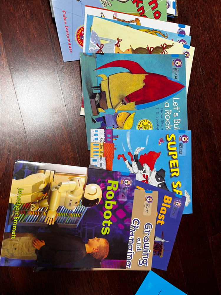 Big cat blue band4--2