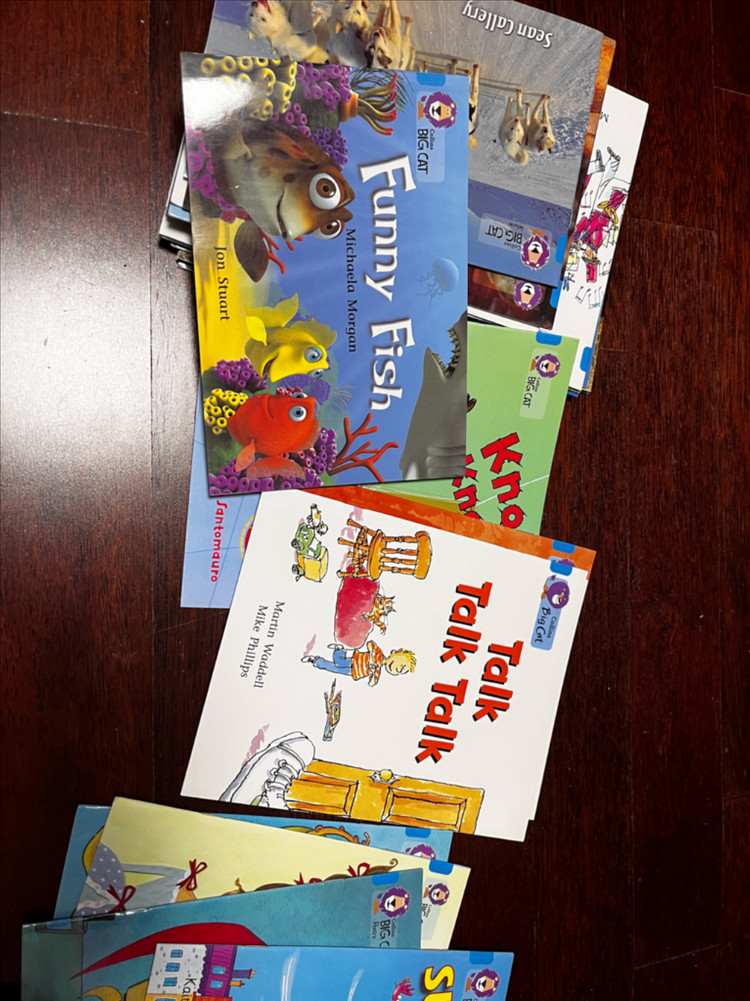 Big cat blue band4--3