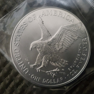 이글은화 1온스