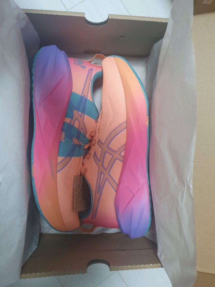 아식스 노바블라스트 5 LA마라톤 컬렉션 280m 러닝화 새상품--2