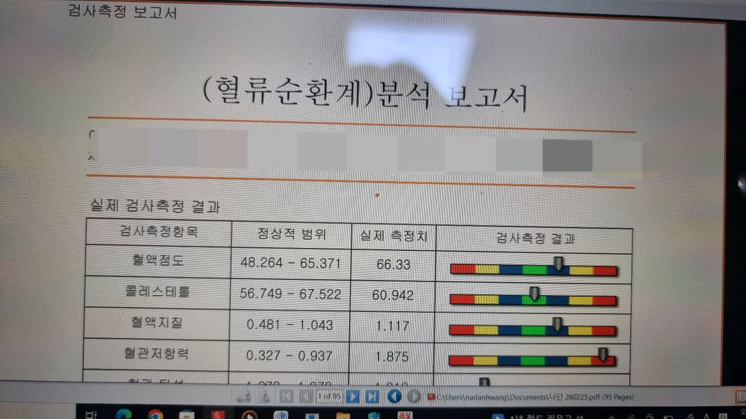 양자 공명 자기 분석기 : 건강 상태 체크--2