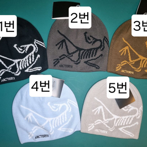 아크테릭스 비니.버드헤드토크