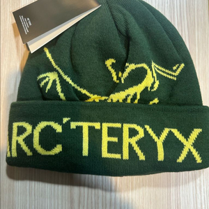 아크테릭스 로고 니트 비니. 그린