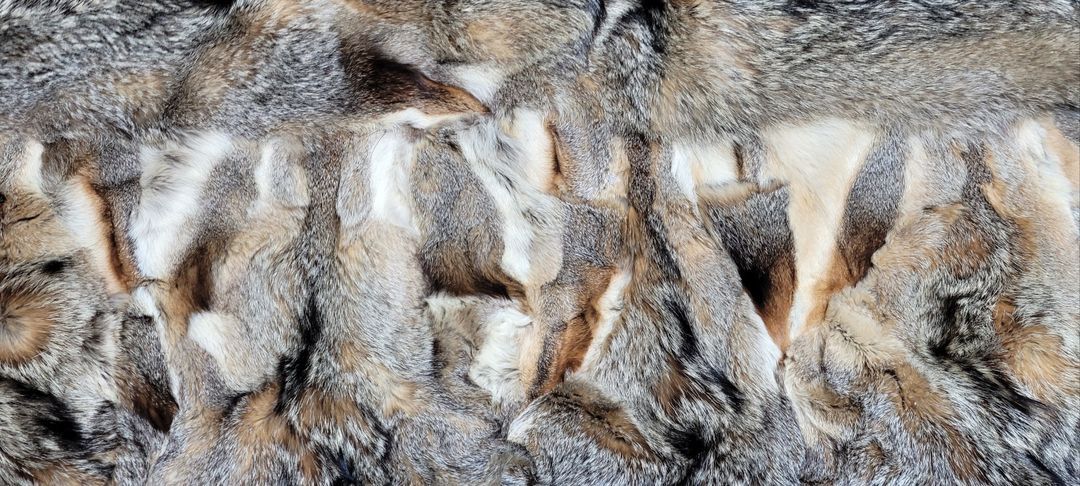 독일 천연 (폭스)여우털 대형 얇은 러그 - DE102--9