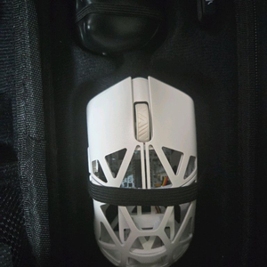 wlmouse beast x pro 짐승 미디움 프로 8k 화이트