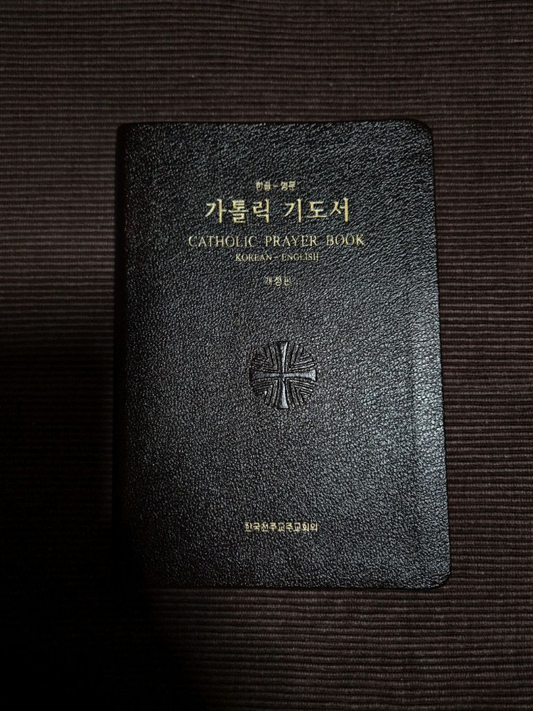 이그나티우스 가톨릭 스터디 바이블 신구약합본 (천주교 영어 주석 성경)--4