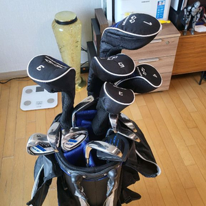 스네이크 아이즈 골프채 풀세트 백포함