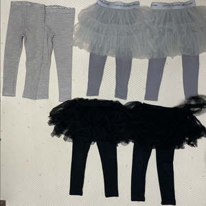 쌍둥이 샤치마 샤레깅스 L(9호)