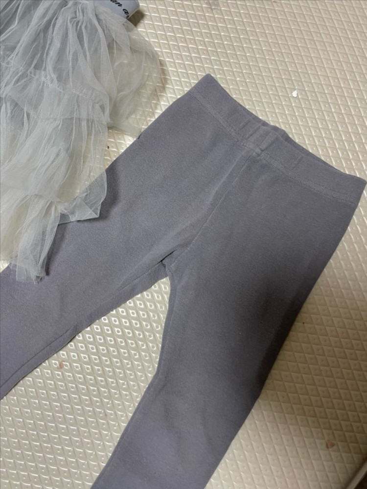 쌍둥이 샤치마 샤레깅스 L(9호)--2