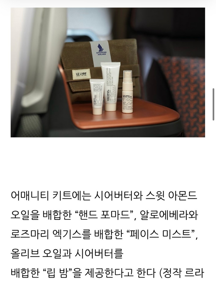 싱가포르 비즈니스 어메니티 르라보--2